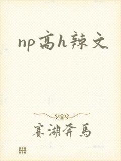 np高h辣文
