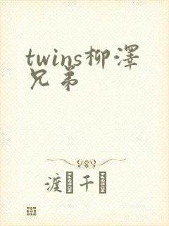 twins柳泽兄弟