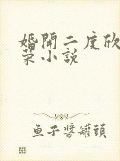 婚开二度欣欣向荣小说
