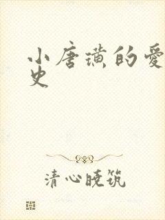 小唐璜的爱情历史