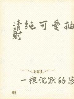 清纯可爱抽插内射