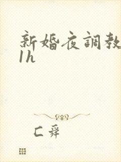 新婚夜调教1v1h