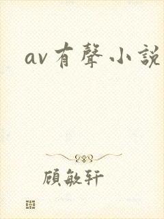 av有声小说