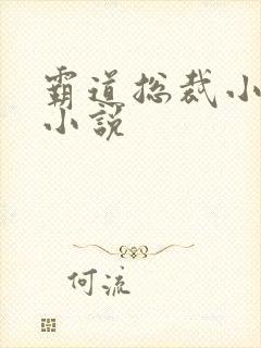 霸道总裁小娇妻小说