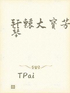 轩辕大宝芳菲雅琴