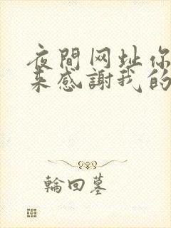 夜间网址你会回来感谢我的