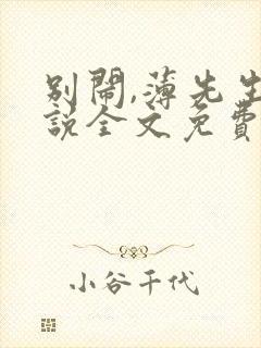 别闹,薄先生小说全文免费阅读