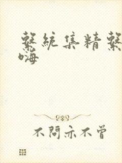 系统集精系统高嗨