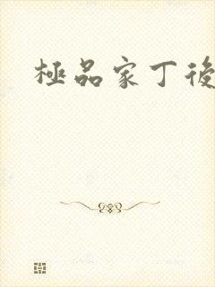 极品家丁后传