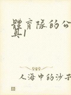 体育队的公用玩具1