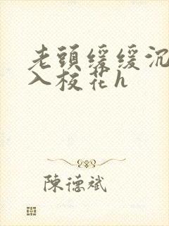 老头缓缓沉腰进入校花h