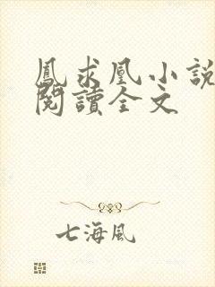 凤求凰小说免费阅读全文