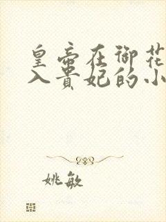 皇帝在御花园进入贵妃的小说