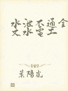 水泄不通金银原文水电工