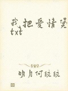 我把爱情煲成汤txt