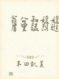 翁公和媛媛在厨房里猛烈进出