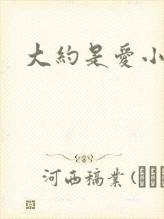 大约是爱小说
