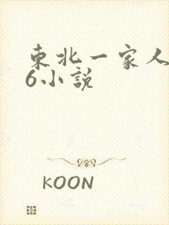 东北一家人1一6小说