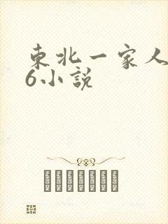 东北一家人1一6小说