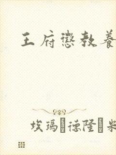 王府惩教养日常