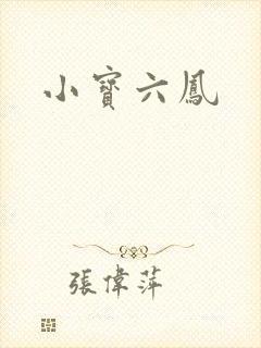 小宝六凤