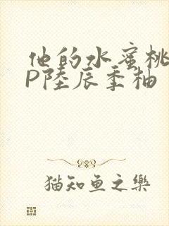 他的水蜜桃POP陆辰季柚