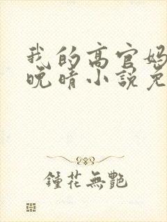 我的高官妈妈苏晚晴小说免费阅读