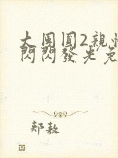 大团圆2亲情会闪闪发光免费