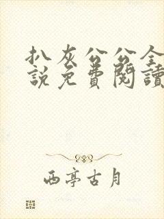 扒灰公公全部小说免费阅读全文