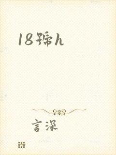 18号h