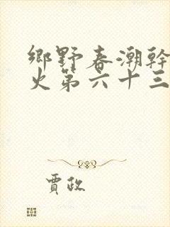 乡野春潮干柴烈火第六十三章