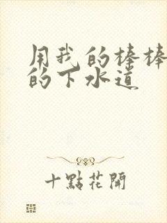 用我的棒棒通你的下水道