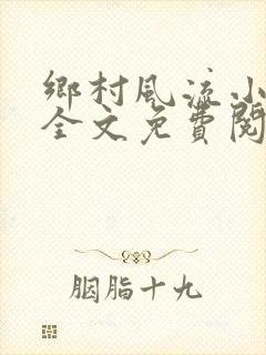 乡村风流小傻子全文免费阅读