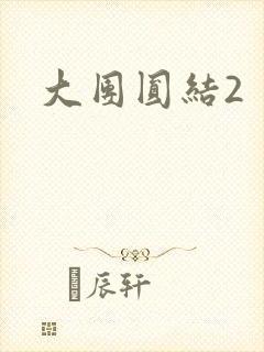 大团圆结2
