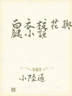 白衣校花与大长腿小说