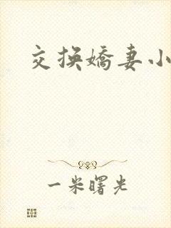 交换娇妻小说