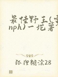 最佳野王(电竞nph)一坨薯饼