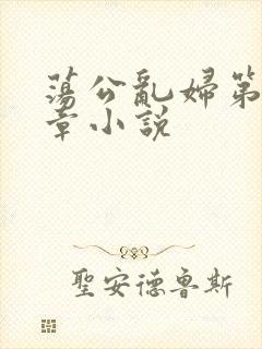 荡公乱妇第51章小说