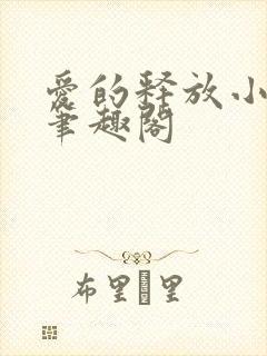 爱的释放小说 笔趣阁