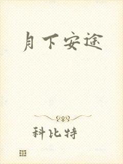 月下安途