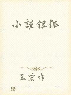 小说银狐