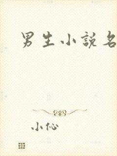 男生小说名字