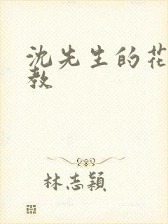 沈先生的花式管教