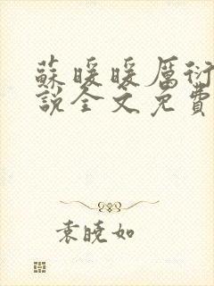 苏暖暖厉衍琛小说全文免费阅读