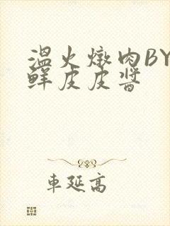 温火炖肉BY海鲜皮皮酱