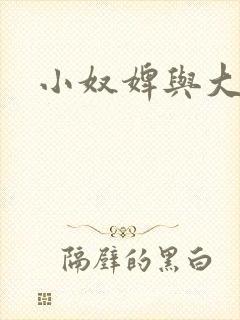 小奴婢与大少爷