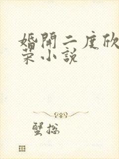 婚开二度欣欣向荣小说