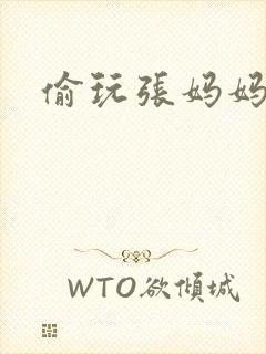 偷玩张妈妈