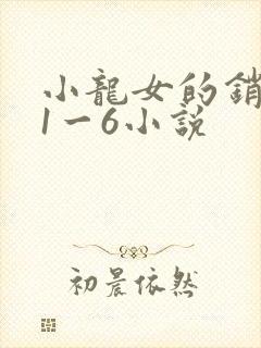 小龙女的销魂夜1一6小说