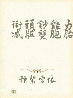 街头钞能力无删减版双胞胎